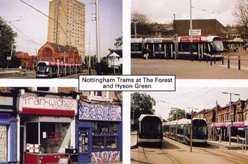 10 Trams at The Forest