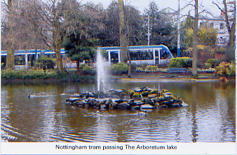 49. Tram passing Arboretum